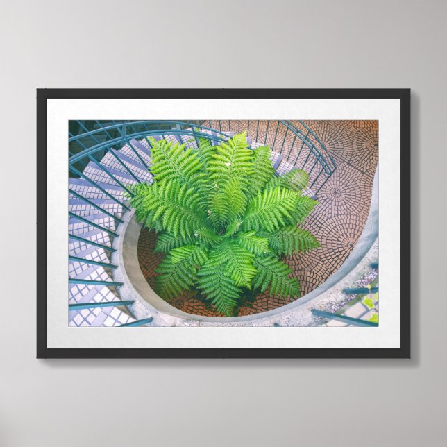 Spiral Staircase with Fern Framed Art (Framed Front)