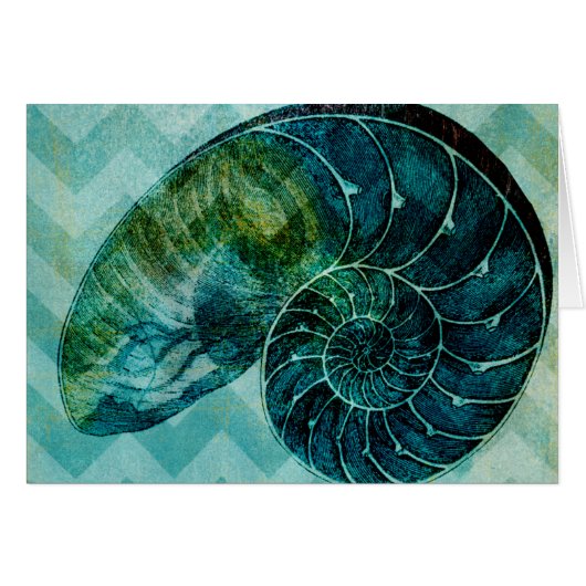 Spiral Turquoise Conch Shell Cards (Front Horizontal)