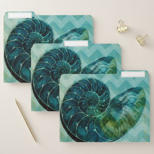 Spiral Turquoise Conch Shell File Folder