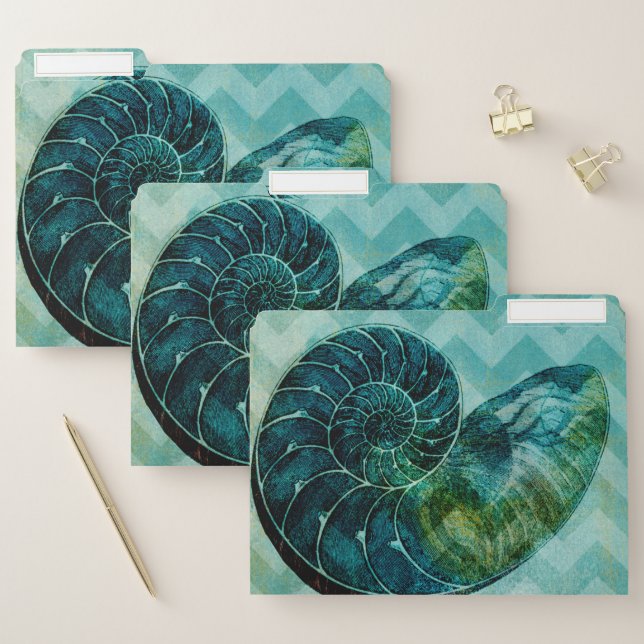 Spiral Turquoise Conch Shell File Folder (Set)