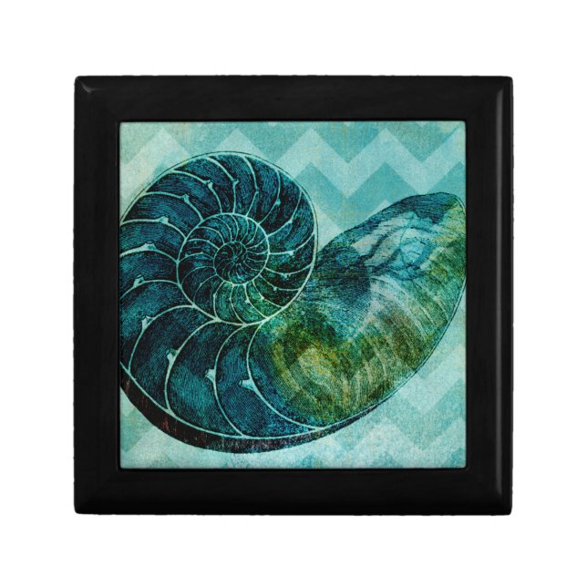 Spiral Turquoise Conch Shell Jewelry Box (Front)