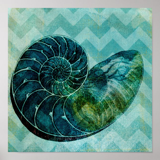 Spiral Turquoise Conch Shell Poster (Front)