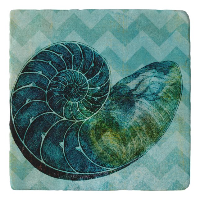 Spiral Turquoise Conch Shell Trivet (Front)