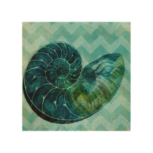 Spiral Turquoise Conch Shell Wood Wall Decor