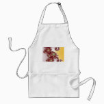 Spiraly Goodnes Adult Apron