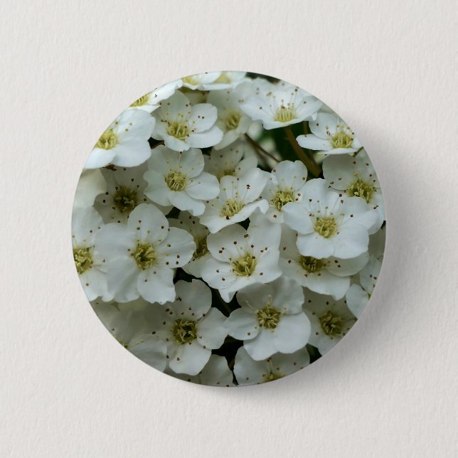 Spirea Arguta Badge Button (Front)