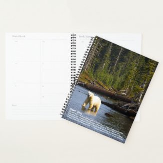 Spirit Bear Calendar