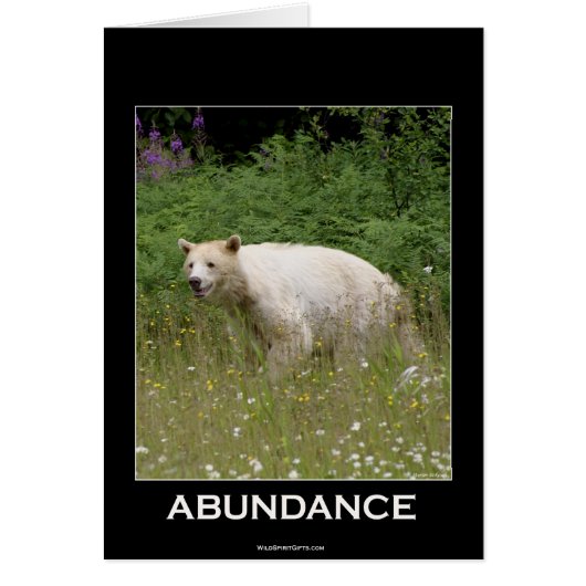 Spirit Bear Gifts (Front)