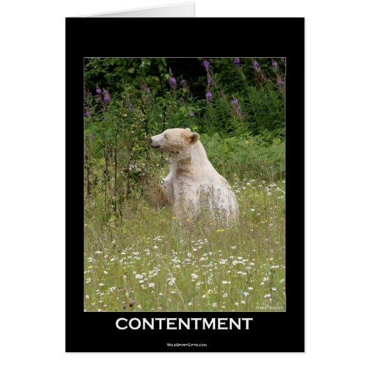 Spirit Bear Gifts (Front)