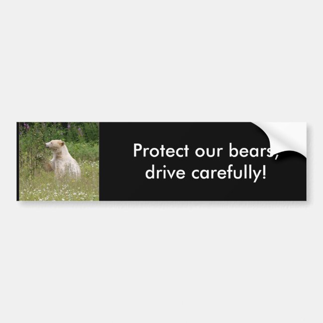 Spirit Bear Gifts Bumper Sticker (Front)