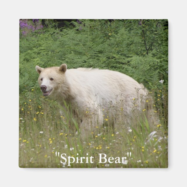 Spirit Bear Gifts Magnet (Front)