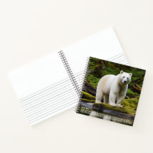 Spirit Bear Hardcover