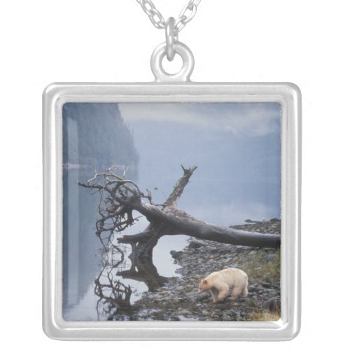 spirit bear Kermode black bear sow with a Silver Plated Necklace