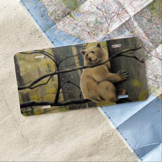 Spirit Bear License Kermode Bear License Plate