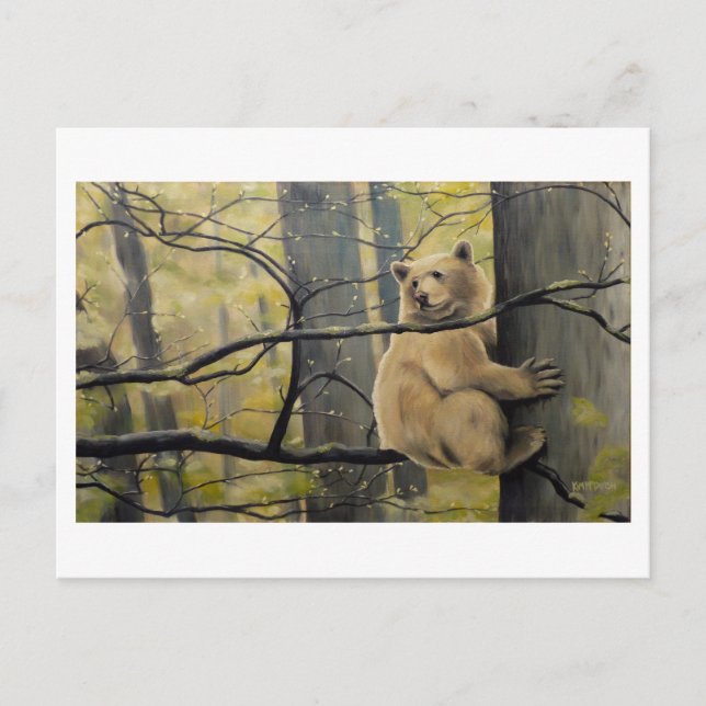 Spirit Bear Postcard Kermode Bear Art Postcards (Front)