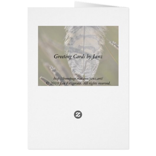 Spirit Feather Everyday (Back)