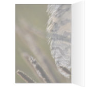 Spirit Feather Everyday Cards (Inside (Left))