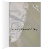 Spirit Feather Everyday Cards (Inside (Right))