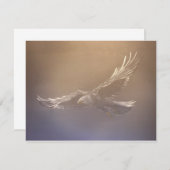 spirit flight (Front/Back)