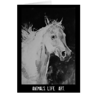 spirit horse cards