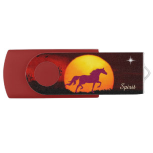 Spirit horse, star, calligraphy & sunrise flash drive