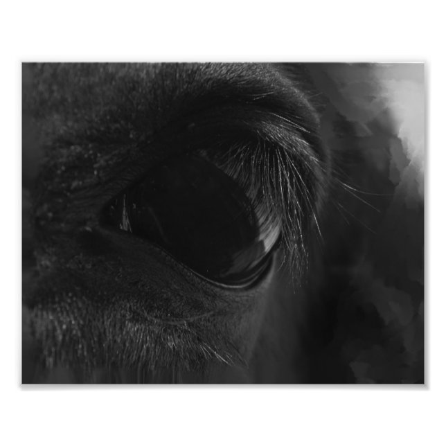 Spirit Lies Within Photo Print (Front)