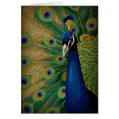 SPIRIT OF BEAUTY (Front)