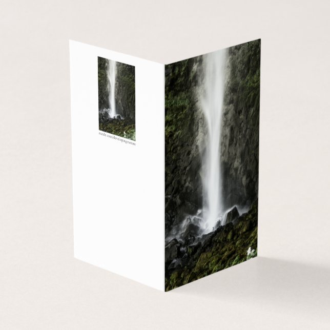 Spirit of the Basin (Outside)