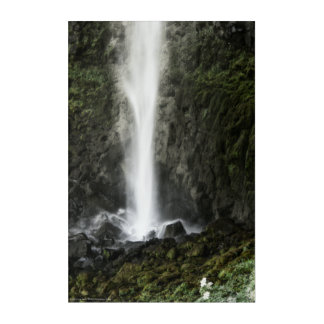 Spirit of the Basin Acrylic Print