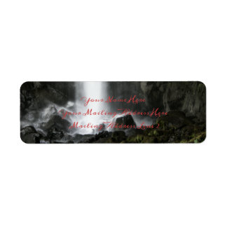 Spirit of the Basin Label