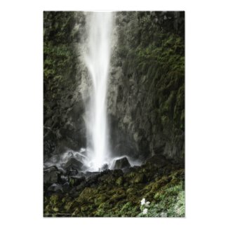 Spirit of the Basin Photo Print