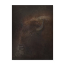 Spirit of the Buffalo