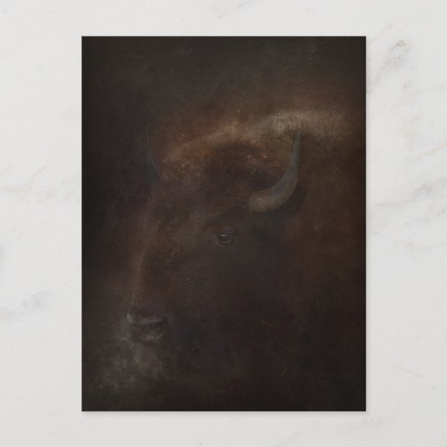 Spirit of the Buffalo Postcard (Front)