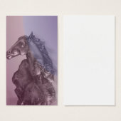 spirit of the dawn (Front & Back)
