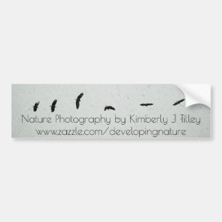 Spirit of the Flight Bumper Sticker