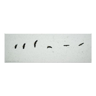 Spirit of the Flight Photo Print