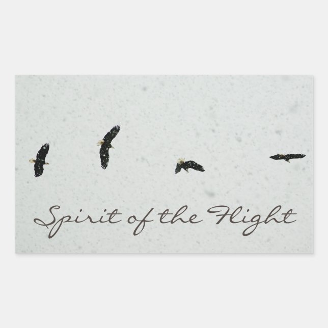 Spirit of the Flight Rectangular Sticker (Front)