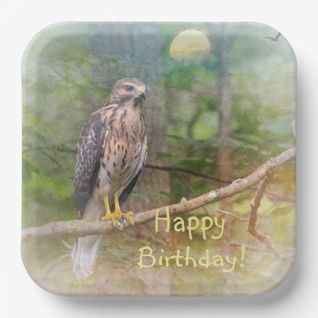 Spirit Of The Hawk Birthday Paper Plates (Front)
