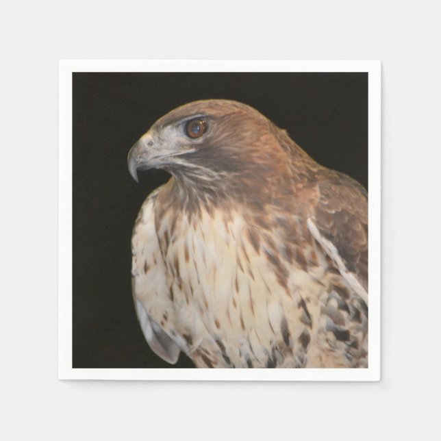 Spirit Of The Hawk Paper Napkins (Front)