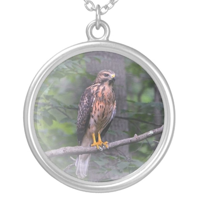Spirit of The Hawk Silver Plated Necklace (Front)