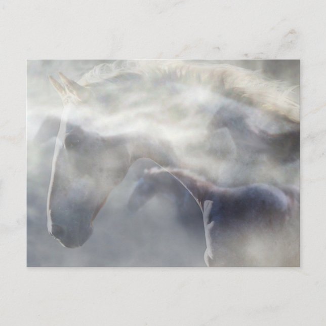 Spirit of the Horse Postcard (Front)