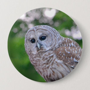 Spirit Of The Owl Button