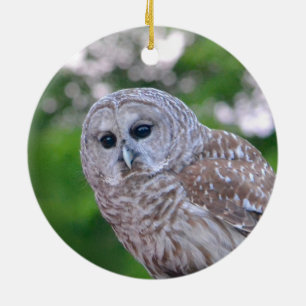 Spirit Of The Owl Ceramic Ornament