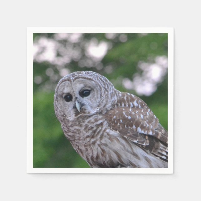 Spirit Of The Owl Paper Napkins (Front)