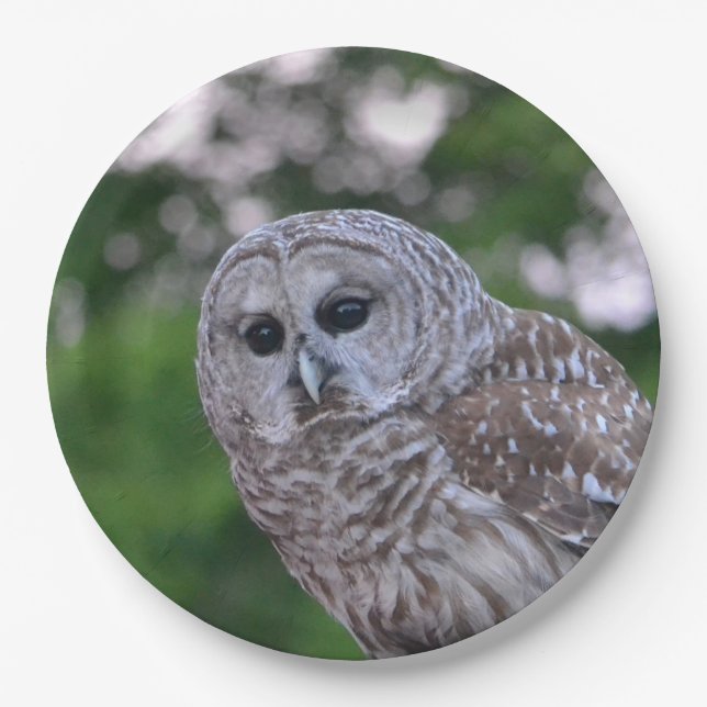 Spirit Of The Owl Paper Plates (Front)
