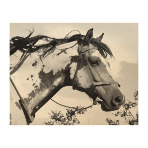 Spirit of the Painted Plains Wood Wall Art