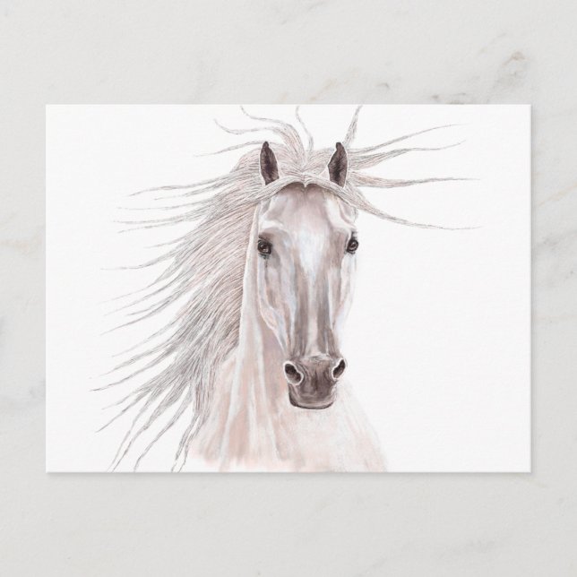Spirit of the Wind Horse -vintage- Postcard (Front)
