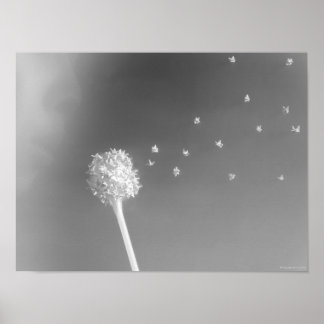Spirit of the Wind Poster