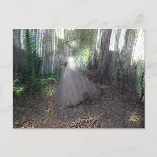 Spirit of the Woods Postcard (Front)