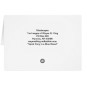 Spirit Pony in a Blue Wood (Back Horizontal)